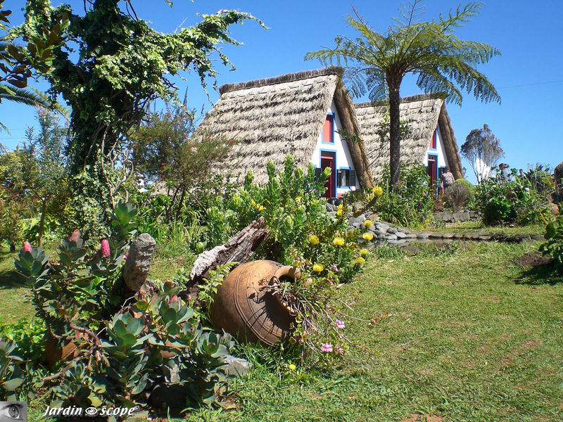 Le joli jardinet des Maisonnettes de Santana
