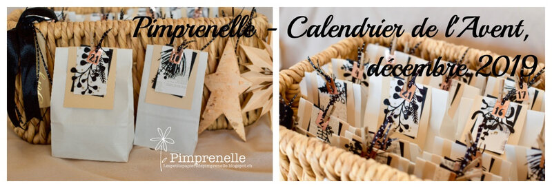 Pimprenelle_calendrier_de_l'Avent_décembre_2019:2