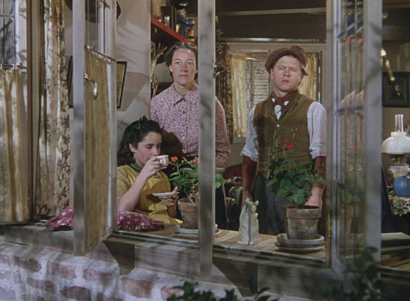 Canalblog KingdomOfCinema National Velvet 1944 09