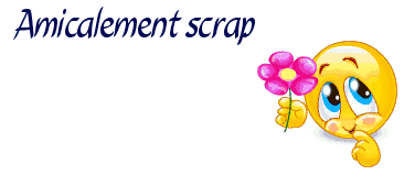 Amicalement scrap 1