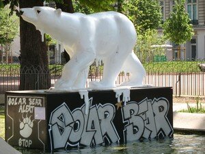 Lions_27_04_08_018