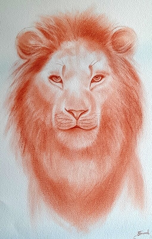 LION au crayon sanguine (pastel)