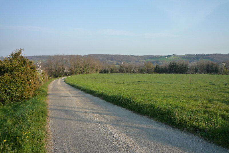 P1810600