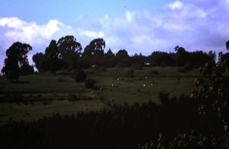 nord kenya l
