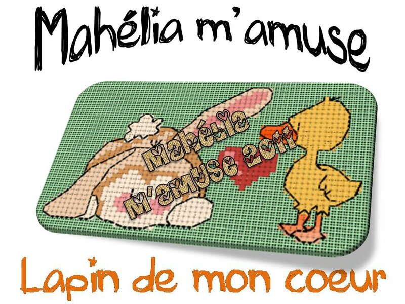 lapin de mon coeur