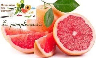 logo_pamplemousse