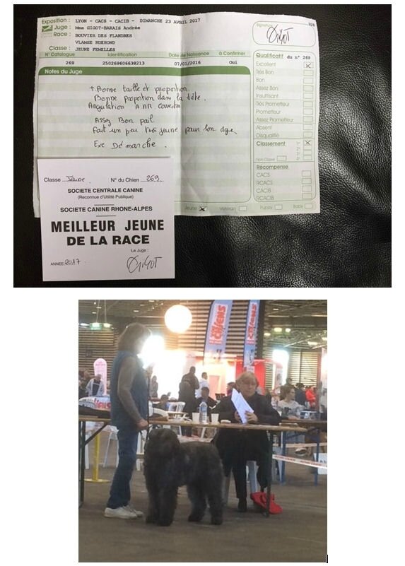 MOLLY de la Dullague présentée par ANY DURAND 
