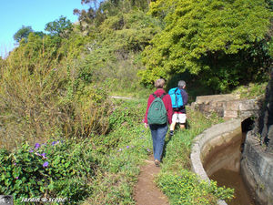9006_Sentier_Levada