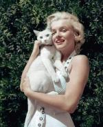 1951-08-MM_in_white_dress-studio_Fox-AYAYF-with_cat_Pinky-010-1c