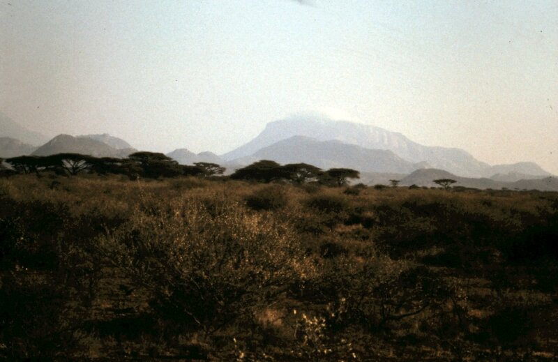 amboseli w oo