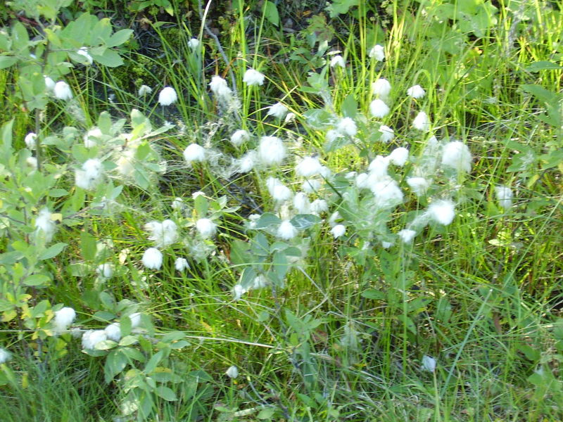 24-08-08 Sortie Vélo Tromso (107)