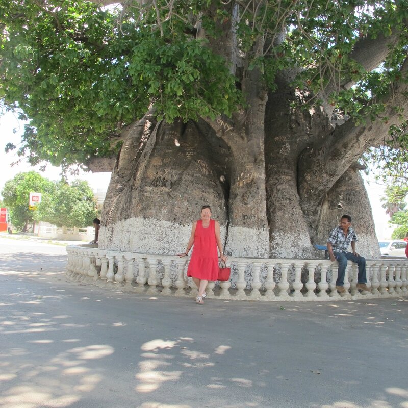 Majunga Le Baobab décembre 2013 092