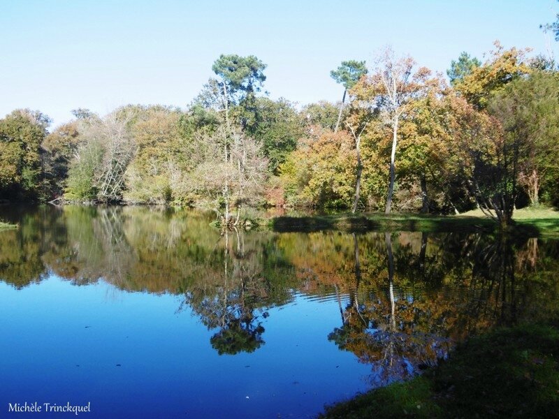 Etangs des Gravières 141117