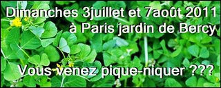 Gâteau ricotta rhubarbe et cerises recettes Gâteau ricotta rhubarbe et cerises