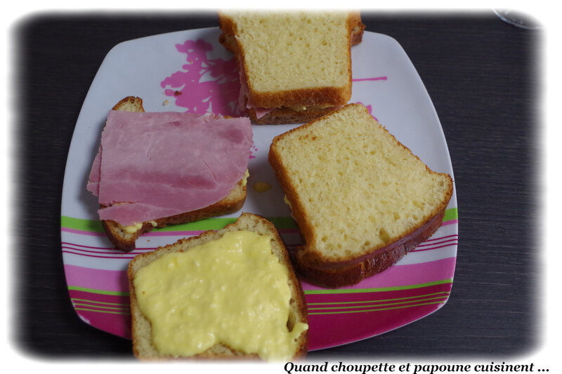 croque monsieur croustillant à la poêle-2747