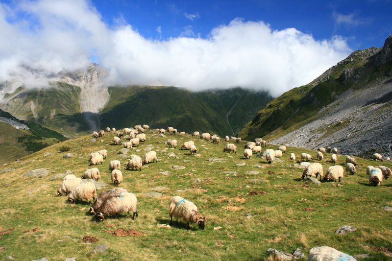 Lac_d_Ansab_re_074