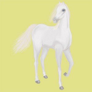 cheval_grand_blanc