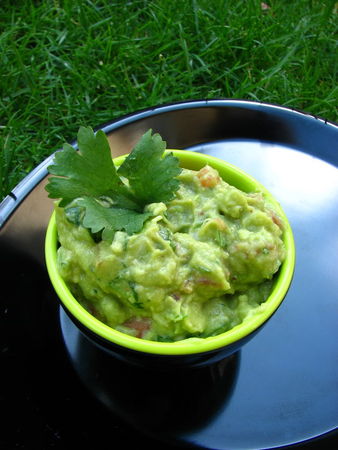 Guacamole recettes plats Hamburgers Texans et Guacamole