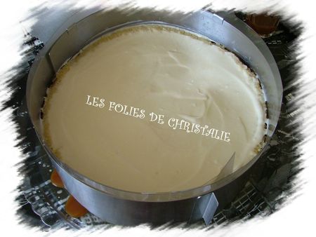 101 du chien 15