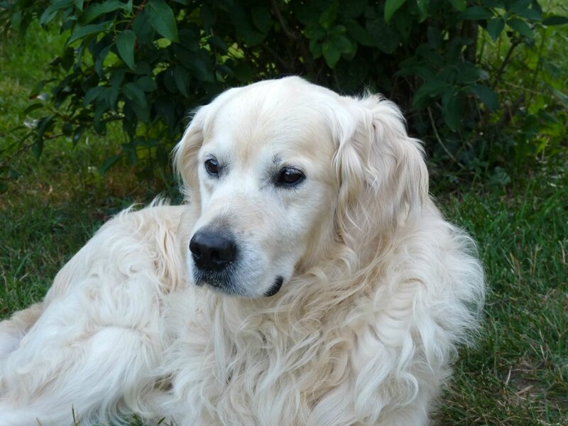 tobi09-2010