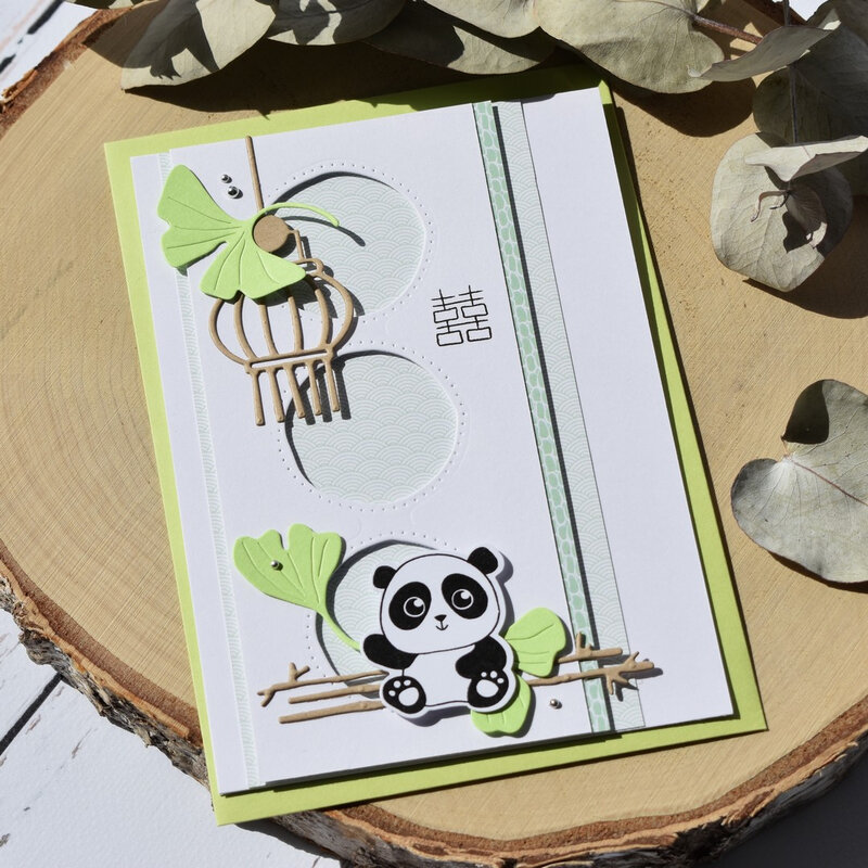 Dani carte little panda P3