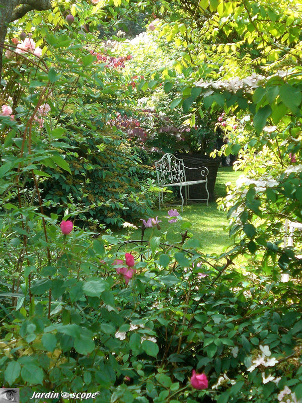 Banc dans le Jardin de Chantal et Alain - Jouy-le-Potier (45)