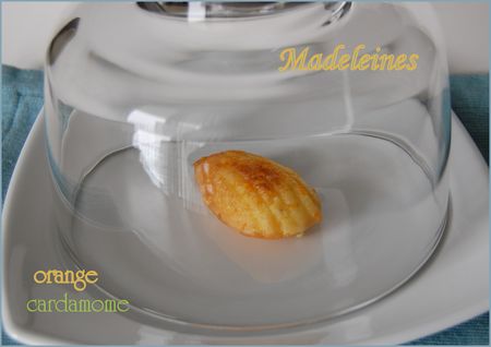 MADELEINES_O