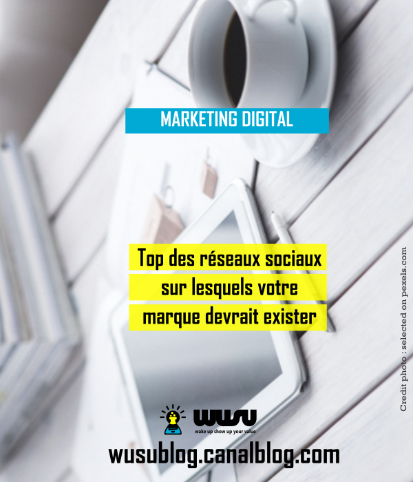 top-reseaux-sociaux-pour-votre-marque-wusu-blog-winnie-ndjock-2018