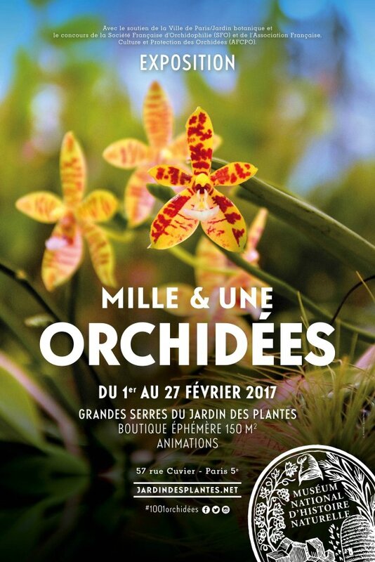 affiche-1001orchidees-2017