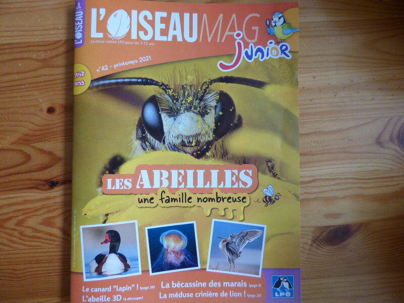 Oiseau Mag Printemps 21 (1)