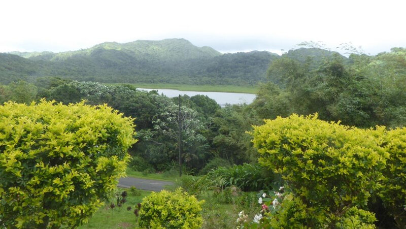 Photo 12 le lac au milieu de la forêt tropicale