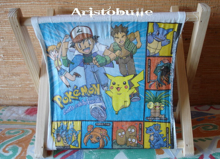 Vide-poche Pokémon - 31 janv 09