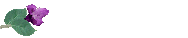 fleurs39