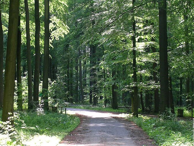 modern_vacation_rentals_brusseles_belgium_038