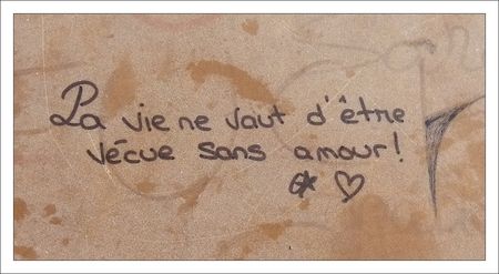 la_vie_sans_amour
