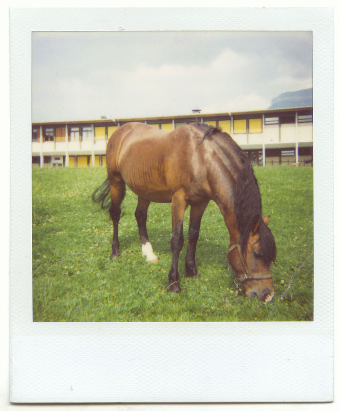 cheval