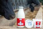 Bouteille-de-Lait800x600_visuel_resume