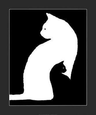 chat+noir+chat+blanc