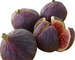 figues_188x152