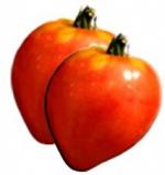 tomate coeur de boeuf rouge