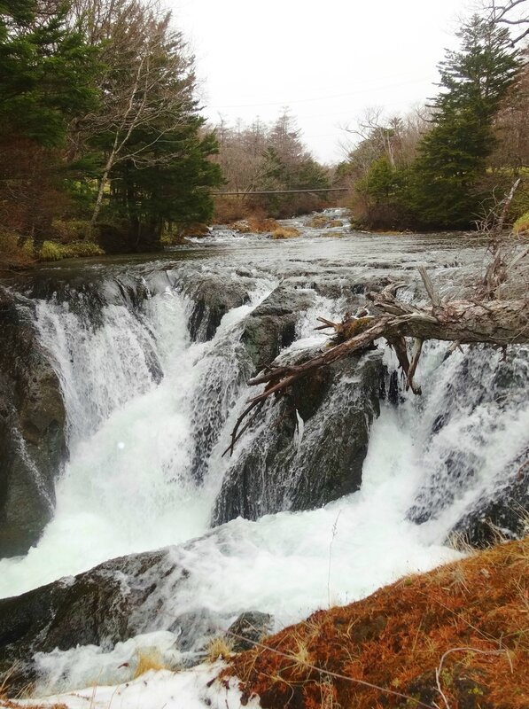 NIKKO ALF 019