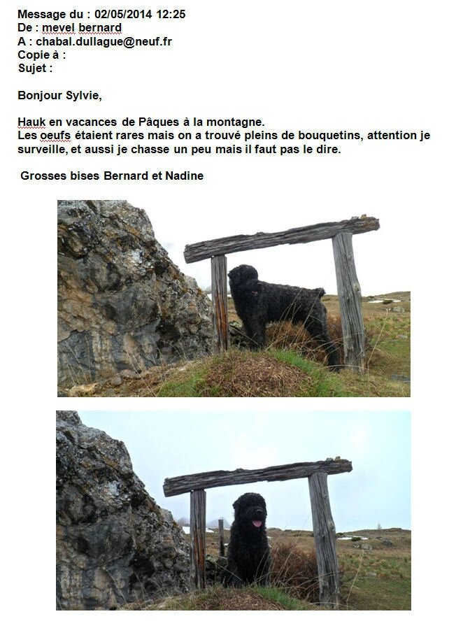 Hauk de la DULLAGUE mai 2014