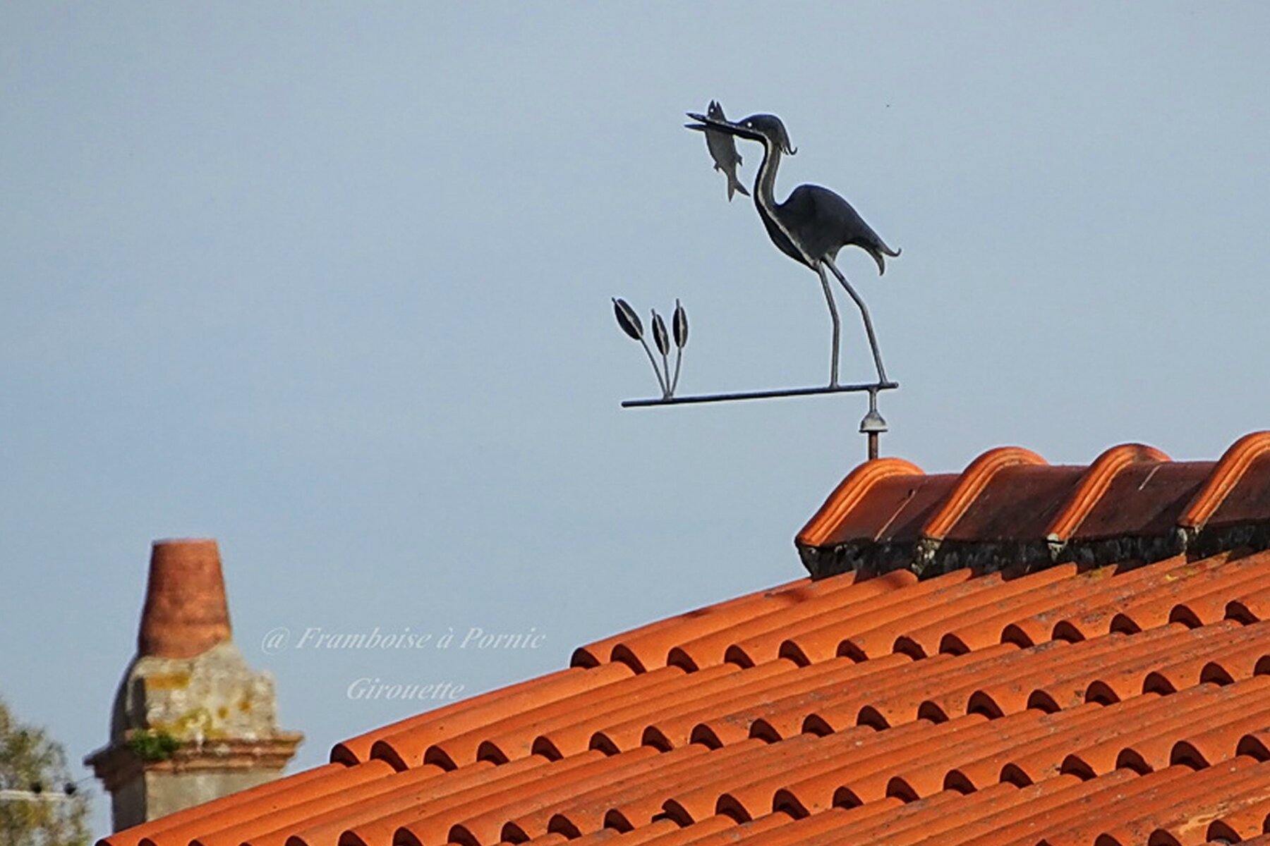 Girouette sur le toit du Château d'Ainay-le-Vieil (18) - Photo de LES  GIROUETTES - Le JardinOscope coté pratique, les bons gestes à faire au  jardin