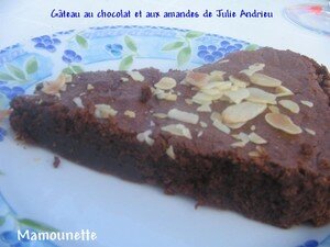 G_teau_au_chocolat_et_aux_amandes_de_Julie_Andrieu_015