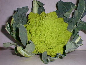 romanesco02