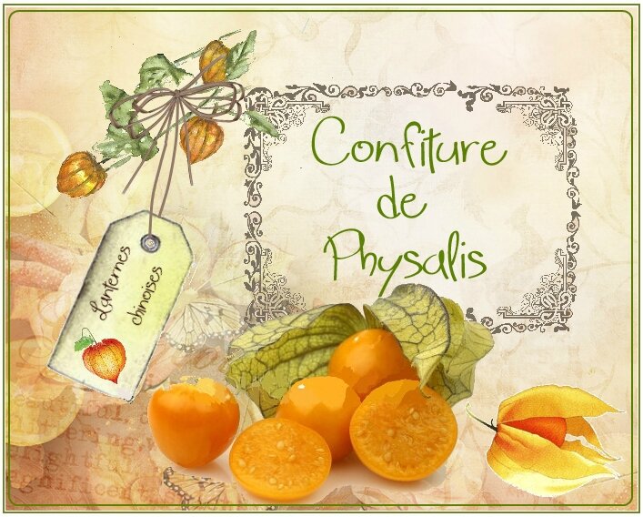 conf de Physalis