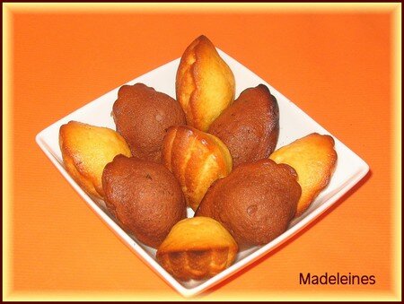 Madeleines__