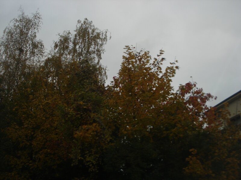 DSC08762