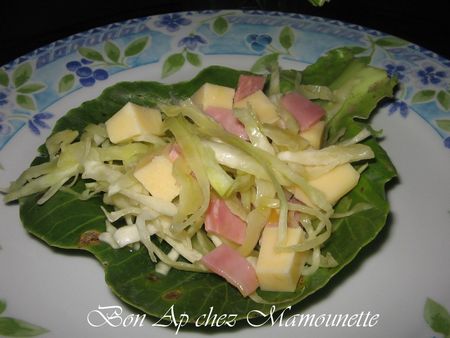 Salade_vend_enne_au_chou_blanc_du_jardin_bonapchezMamounette
