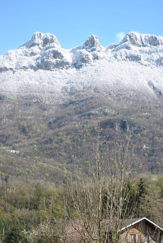DSC_0002